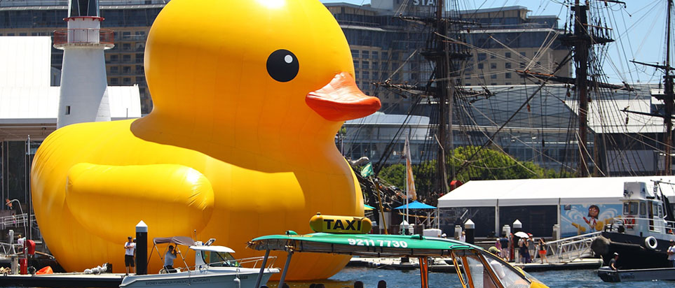 Giant rubber duck