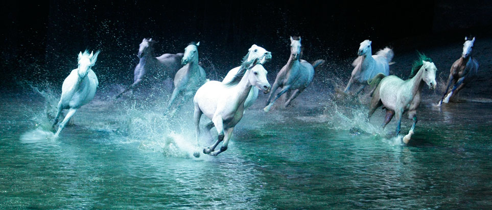 Cavalia