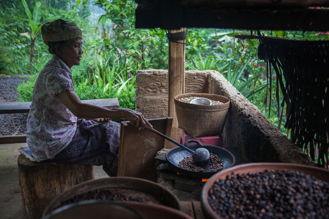 Production of the Kopi Luwak in Indonesia