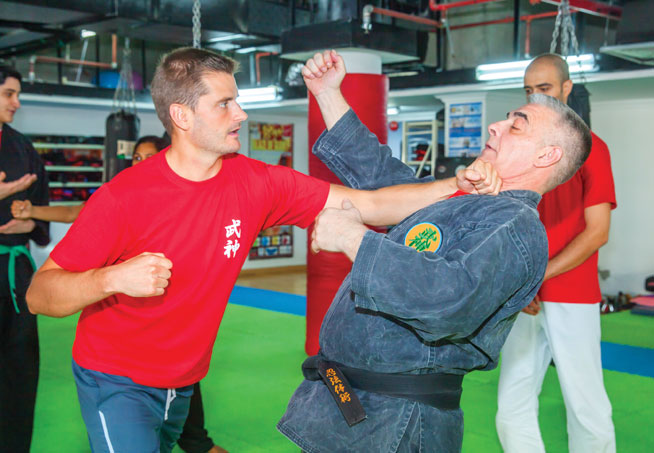 Bujinkan classes in Dubai