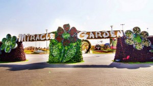 Miracle Garden