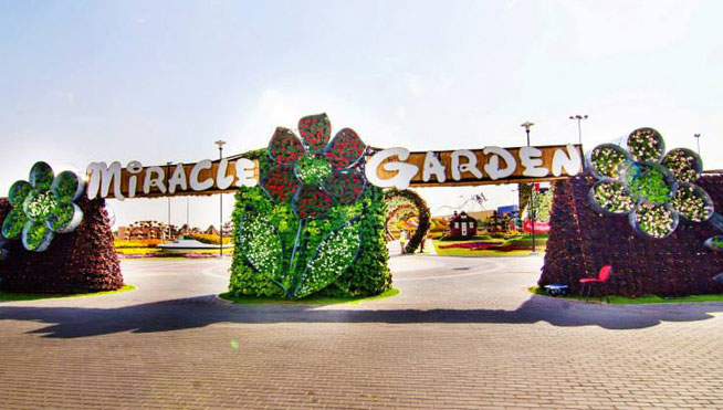 Miracle Garden