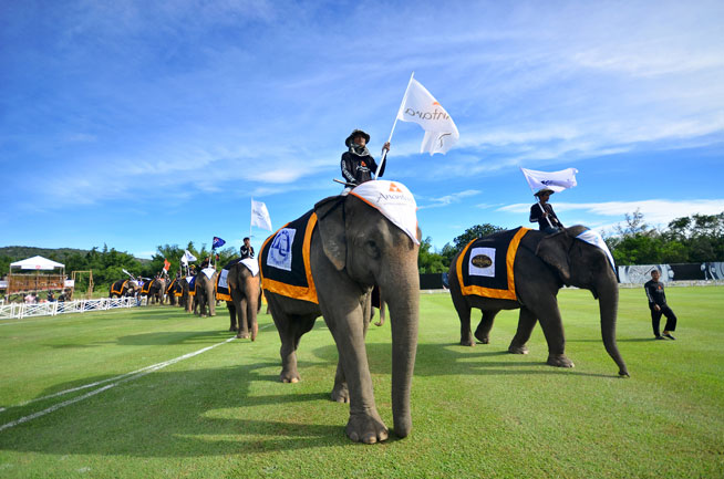 King’s Cup Elephant Polo tournament