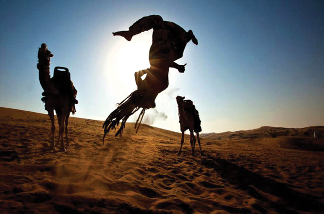 Capoeira in Dubai