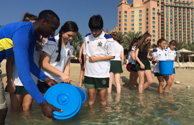 Native fish release at Nasimi Beach, Atlantis, The Palm