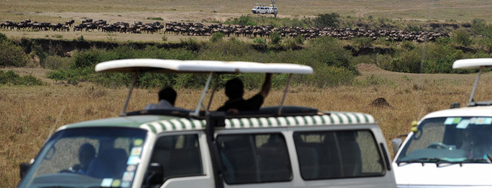 African Safari in Al Ain (stock image)