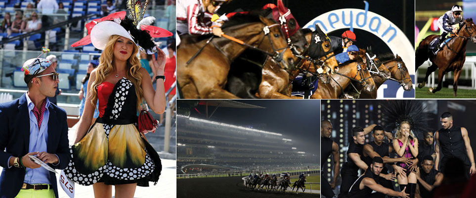 Dubai World Cup preview