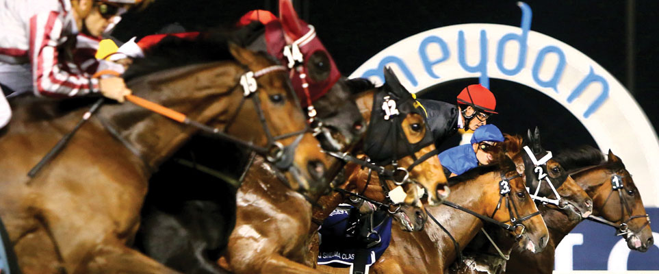 Dubai World Cup preview