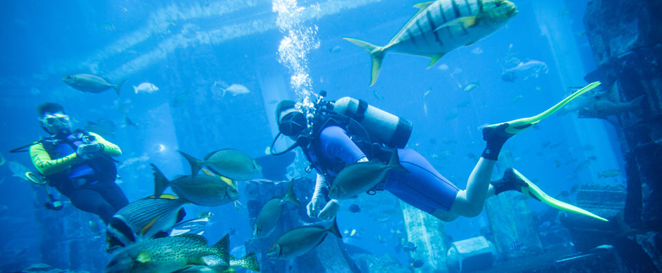 Scuba diving at Lost Chambers, Atlantis The Palm