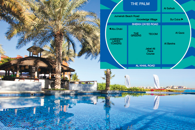 The Palm