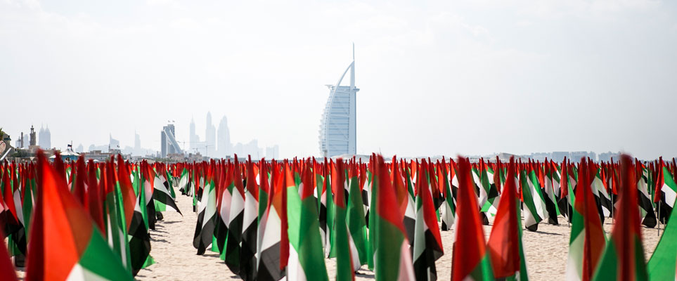 uae flag