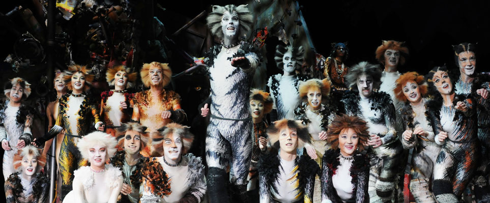 cats musical