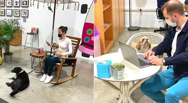 This pet-friendly co-working space has just opened in Dubai