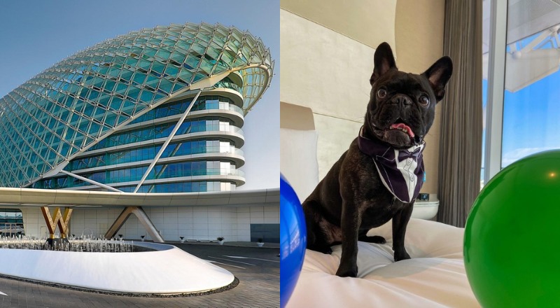 pets w abu dhabi