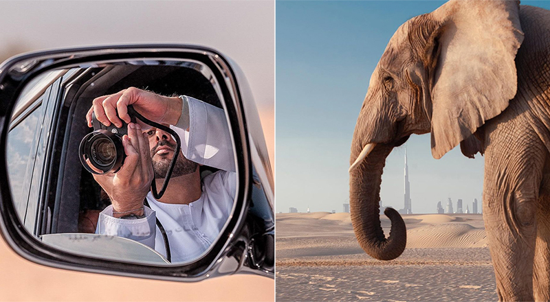 sheikh-hamdan-elephant-insta