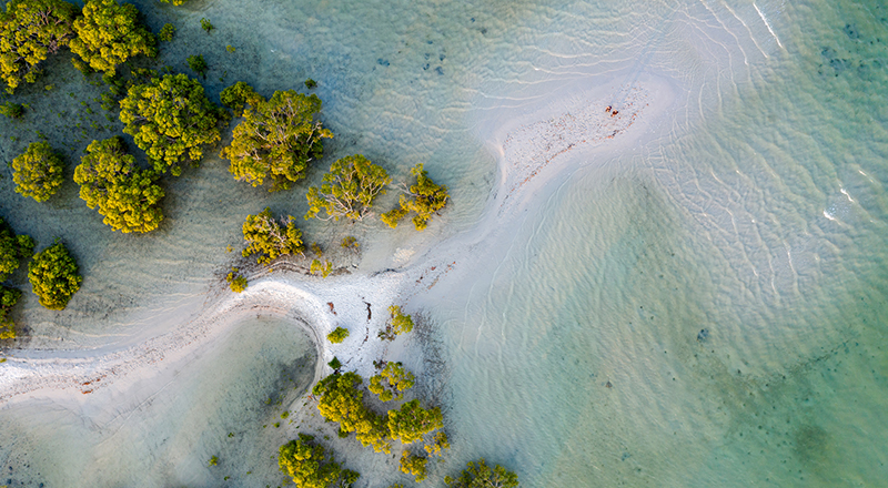 getty-mangroves-park