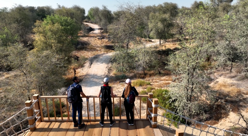 mushrif hiking trail